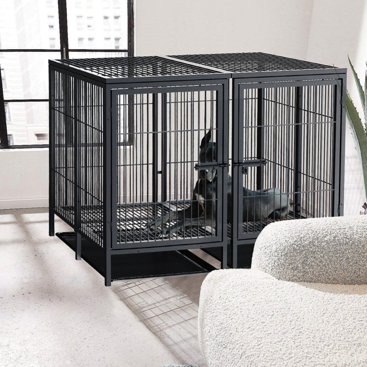 Tucker Murphy Pet 52 Inch Dog Crate With Divider Panel Heavy